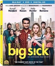 Picture of BIG SICK