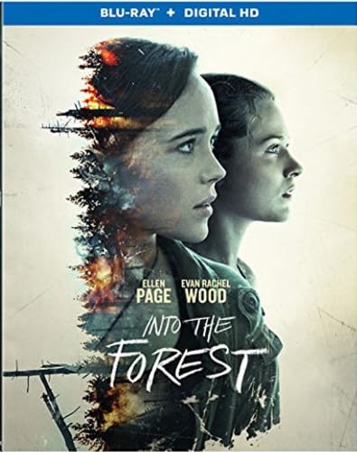 Picture of INTO THE FOREST