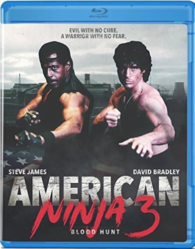 Picture of AMERICAN NINJA 3: BLOOD HUNT