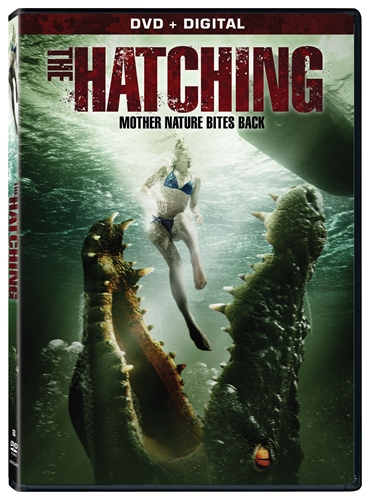 Picture of HATCHING