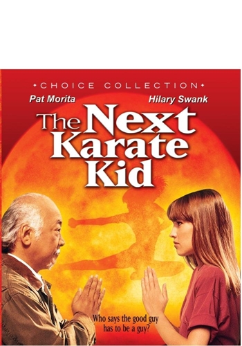 Picture of NEXT KARATE KID