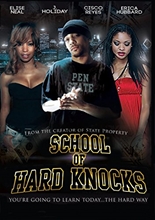 Picture of School Of Hard Knocks