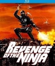 Picture of REVENGE OF THE NINJA (1983)