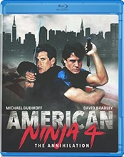 Picture of AMERICAN NINJA 4: THE ANNIHILATION