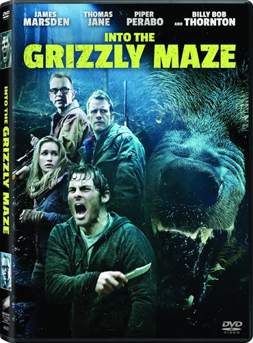 Picture of INTO THE GRIZZLY MAZE