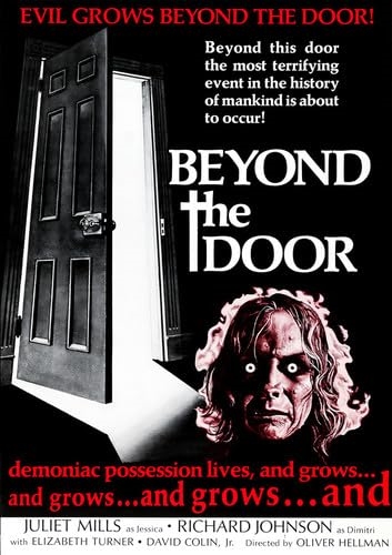 Picture of BEYOND THE DOOR