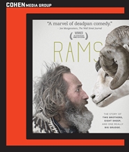 Picture of RAMS