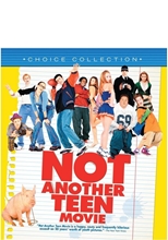 Picture of NOT ANOTHER TEEN MOVIE