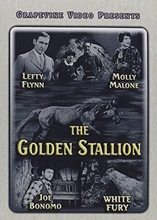 Picture of GOLDEN STALLION (1927)