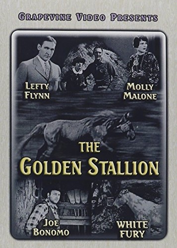 Picture of GOLDEN STALLION (1927)