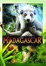 Picture of MADAGASCAR