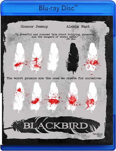 Picture of BLACKBIRD