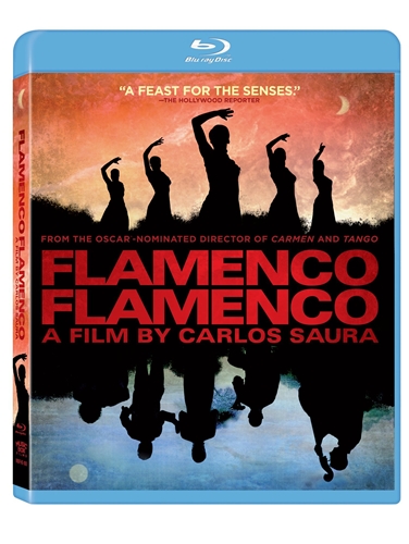 Picture of FLAMENCO FLAMENCO