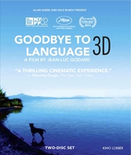 Picture of GOODBYE TO LANGUAGE