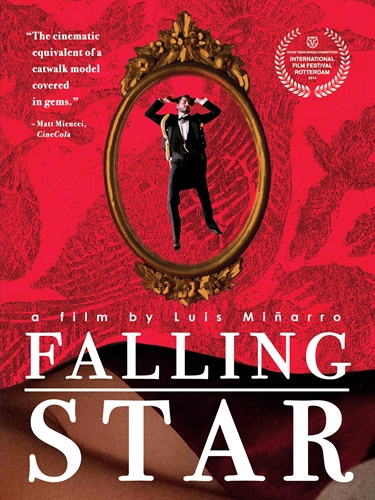 Picture of FALLING STAR (STELLA CADENTE)