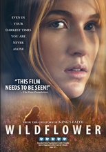 Picture of WILDFLOWER / VARIOUS