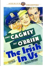 Picture of IRISH IN US