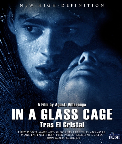 Picture of IN A GLASS CAGE