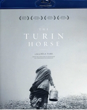 Picture of TURIN HORSE