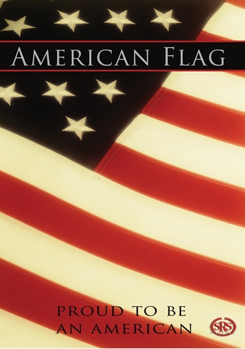 Picture of AMERICAN FLAG