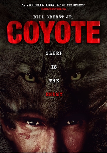 Picture of Coyote