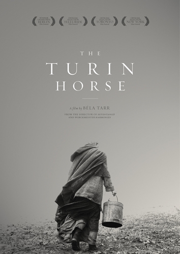 Picture of TURIN HORSE