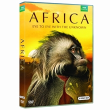 Picture of AFRICA