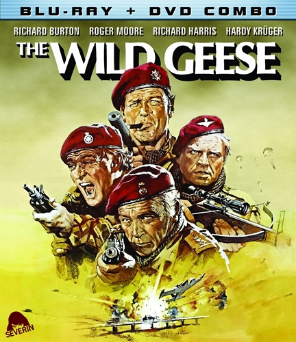 Picture of WILD GEESE