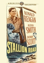 Picture of STALLION ROAD