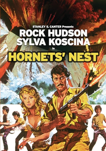 Picture of HORNET'S NEST