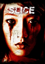 Picture of Slice