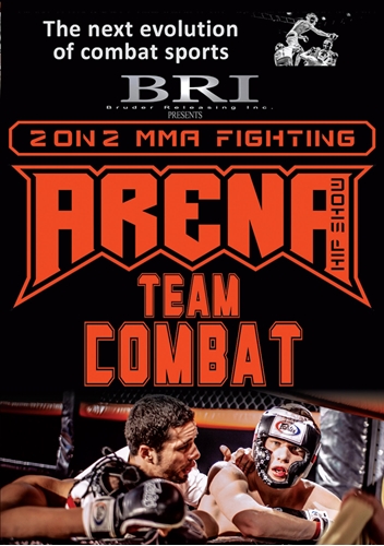 Picture of Arena Team Combat