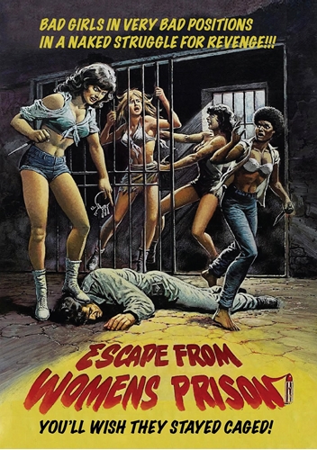 Picture of Escape From Women's Prison