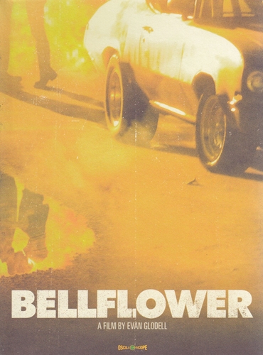 Picture of Bellflower