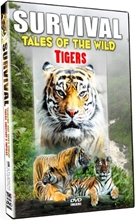 Picture of SURVIVAL: TALES OF THE WILD - TIGERS