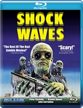 Picture of SHOCK WAVES