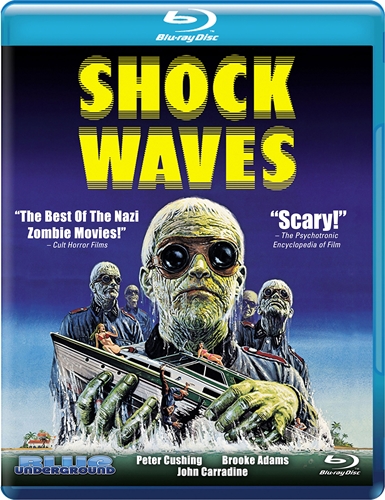 Picture of SHOCK WAVES