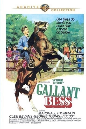 Picture of GALLANT BESS