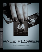 Picture of PALE FLOWER/BD