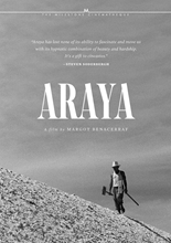 Picture of ARAYA