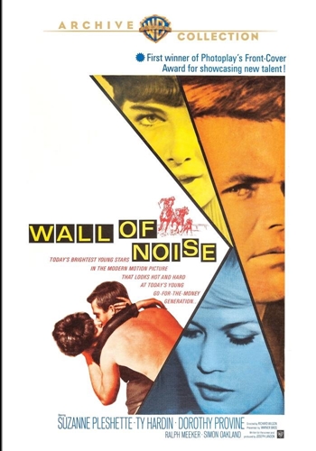 Picture of WALL OF NOISE