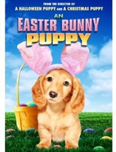 Picture of AN EASTER BUNNY PUPPY