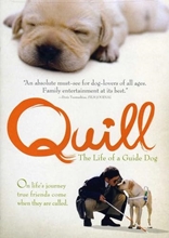 Picture of QUILL