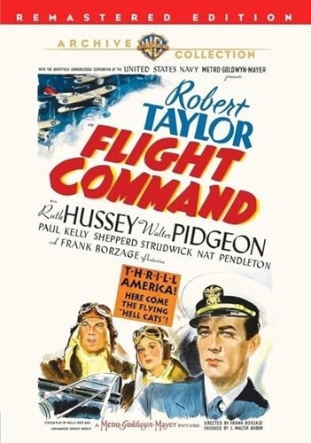 Picture of FLIGHT COMMAND