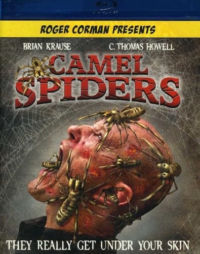 Picture of CAMEL SPIDERS BD