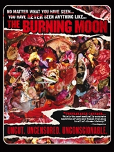 Picture of BURNING MOON