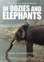 Picture of Of Oozies and Elephants