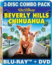 Picture of BEVERLY HILLS CHIHUAHUA