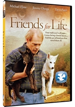 Picture of FRIENDS FOR LIFE DVD