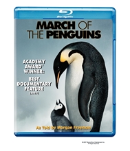 Picture of MARCH OF THE PENGUINS